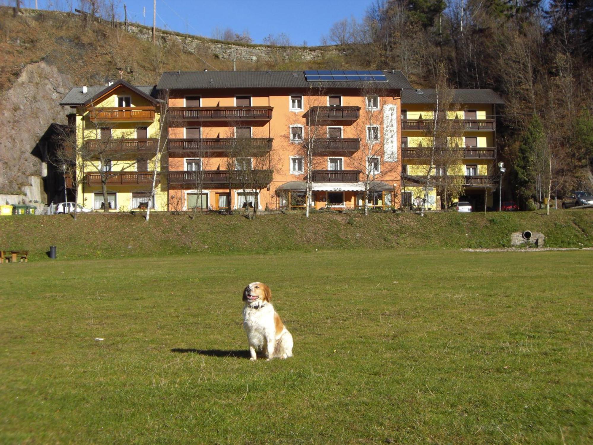 Hotel Miramonti Bedollo Екстер'єр фото